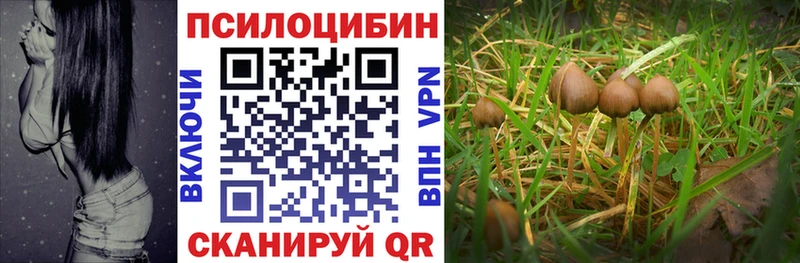 Псилоцибиновые грибы Psilocybine cubensis  сайты даркнета клад  Дятьково 